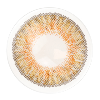 Freshlook Colorblends - Honey