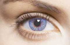 Freshlook Colors Blue